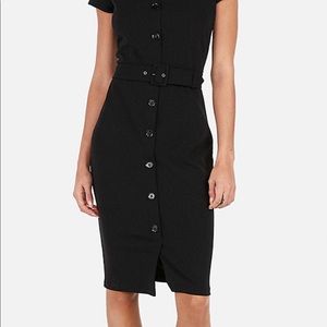 Brand New Express Dress